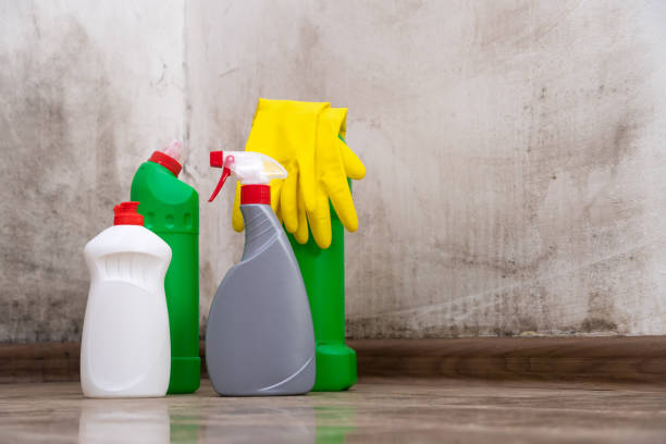 Best Biohazard Mold Removal  in Farmingville, NY